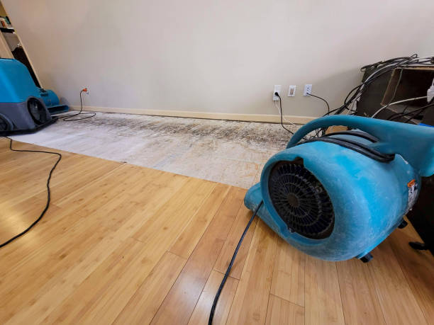 Professional Sewage Cleanup technician working in Marsing, ID